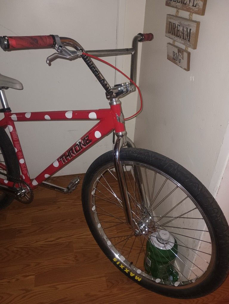 Throne 29er Polka Berry