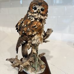 Giuseppe Armani Owl
