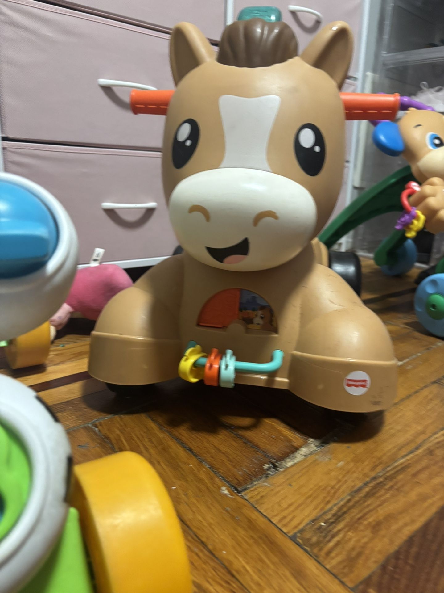 Baby Horse