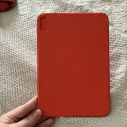 Apple iPad Mini Case, Best Offer