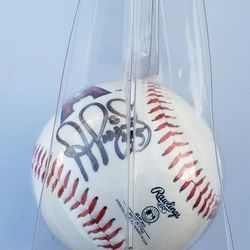 Albert Pujols Anaheim Angels Baseball