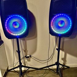 Set Of Large Ion PA Speakers