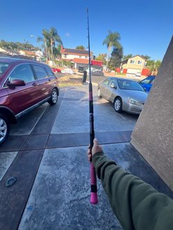 Phenix pandora spinning rod