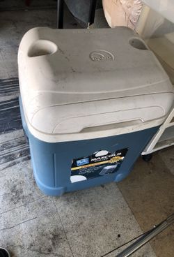 Igloo 20$ obo