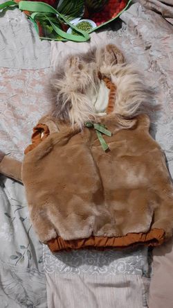 Toddlers size Lion costume