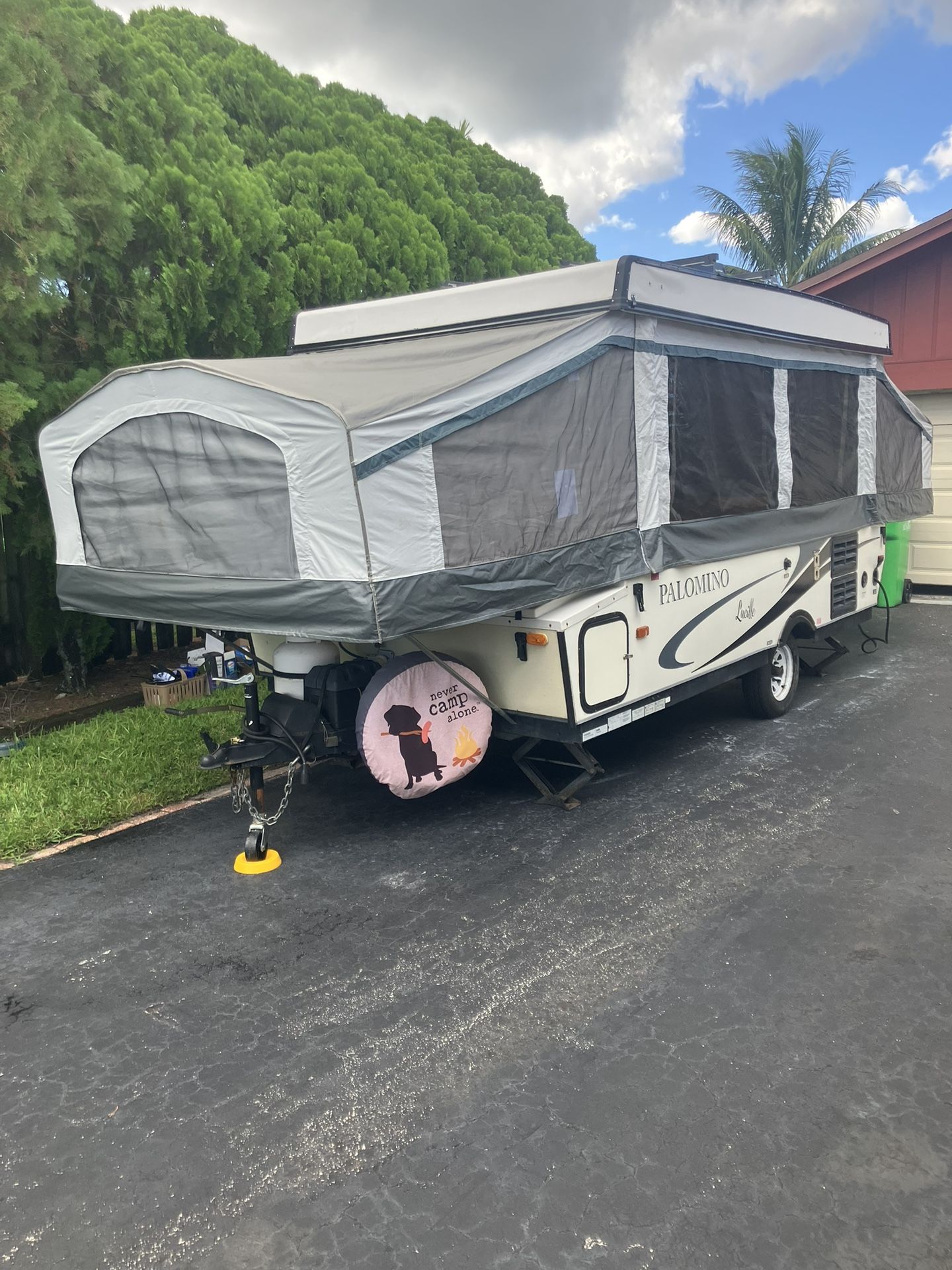 Palomino pop-up
