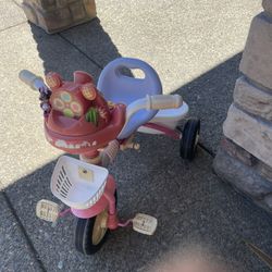 Disney Theme Musical Tricycle