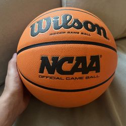 Basketball EVO