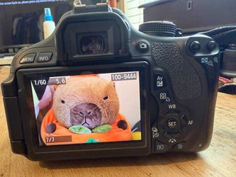 Canon EOS Rebel T3i DSLR + EF-S 18–55mm IS II Lens + Canon Camera Bag