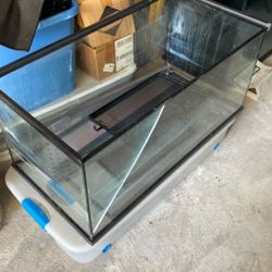 Reptile Aquarium