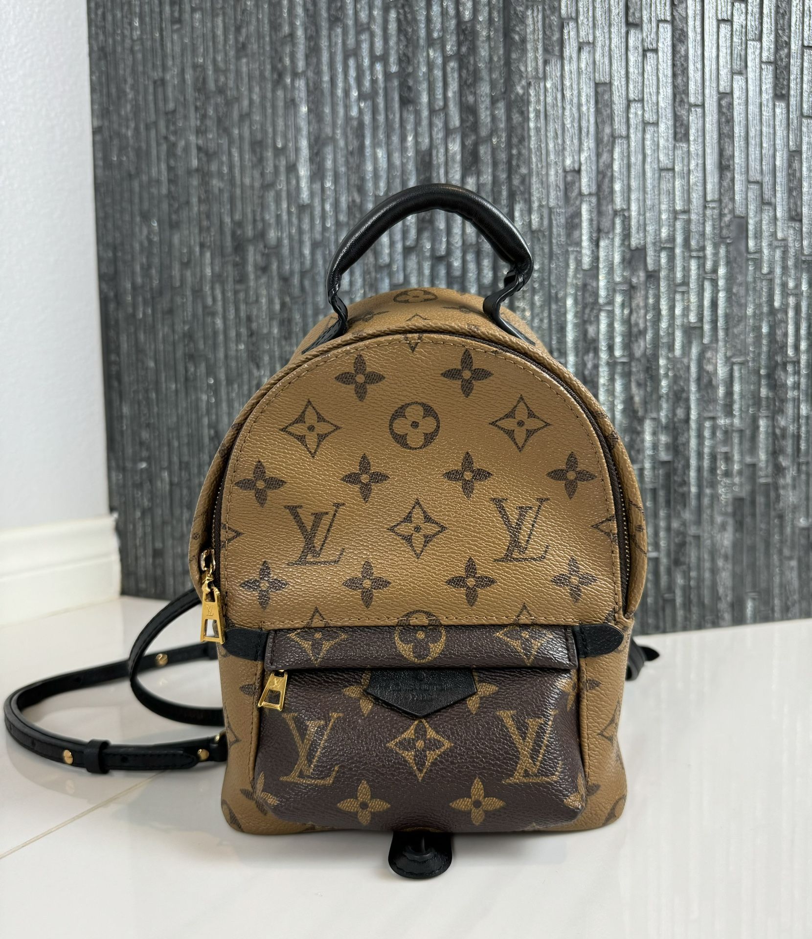 Louis Vuitton Reverse Monogram Palm Springs Mini Backpack
