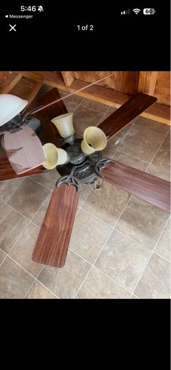 Ceiling fans