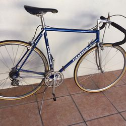 Mid Eighties Pinarello Treviso 56cm