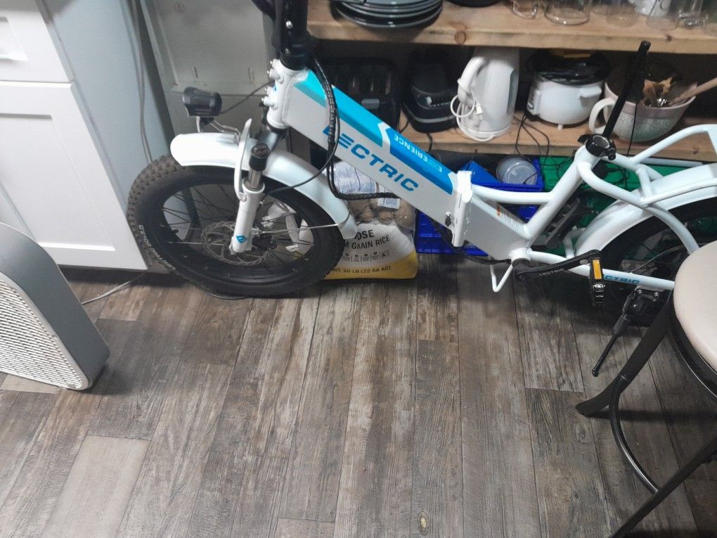 New Electric Bike 