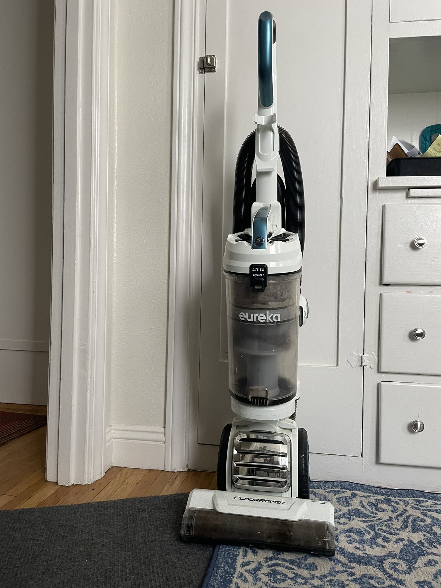 Eureka vacuum