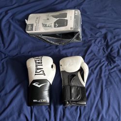 Everlast training gloves