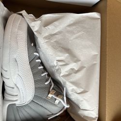 Jordan 12 “Stealth”