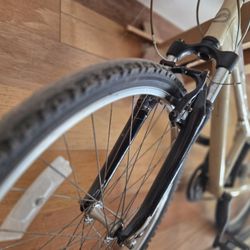 2006 Giant Rincon mountain bike - 17" frame