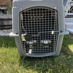 Hard Shell Dog Kennel