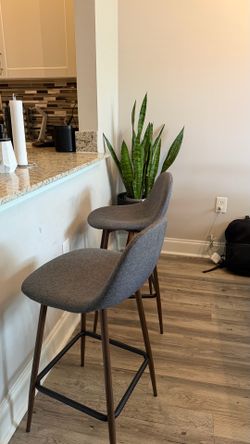 Counter Top Stools (set of 2)