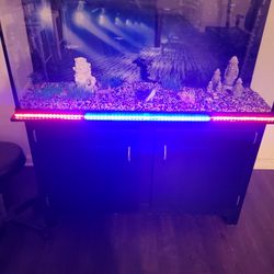 Fish Tank And Stand