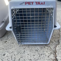 Large Dog  And Cat Kennel 