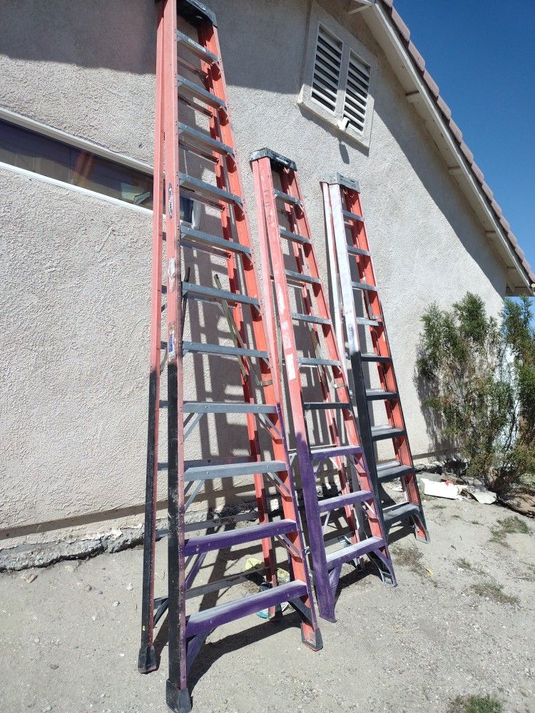 Werner And Louisville Ladders