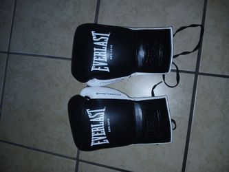 Everlasting powerlock og 8 ounce gloves