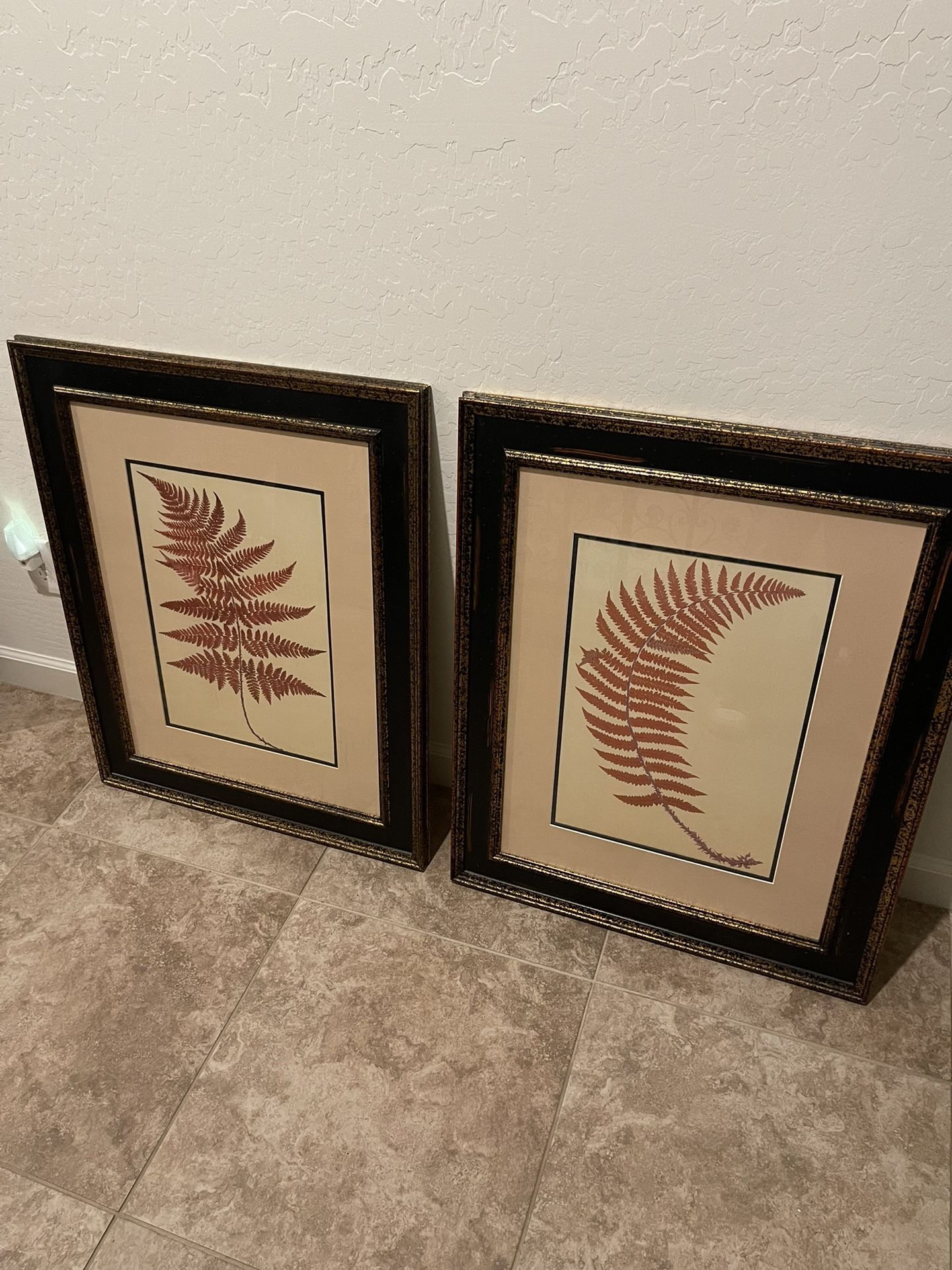 2 Framed Paintings