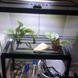 20 gallon aquarium Fish Tank with stand and supplies