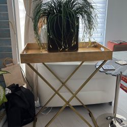 Decorative Table And Plant