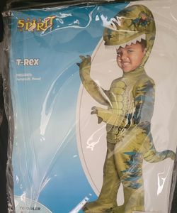 Halloween custome