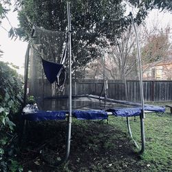 Trampoline