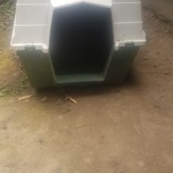 Dog House