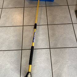 Snow Broom. Extends