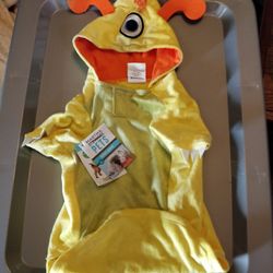 Pet Halloween costume
