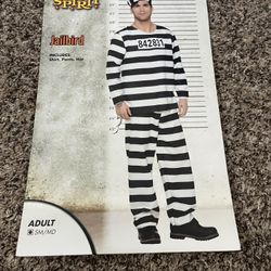 Jailbird Costume