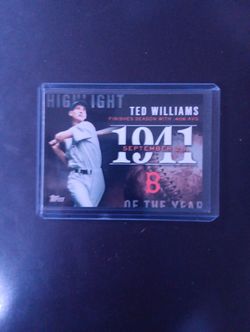 Ted Williams 