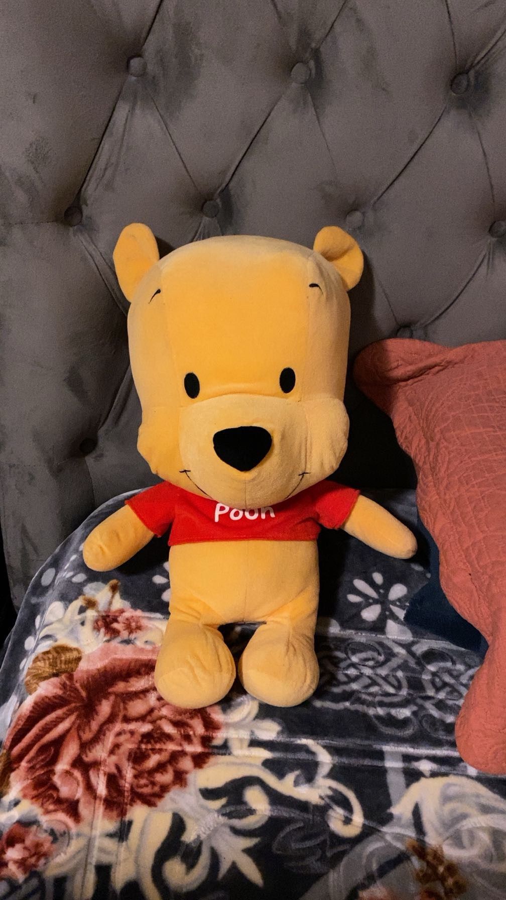 Winnie The Pooh 