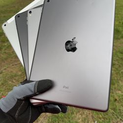 iPads 5 / 6 / 8 / Pro