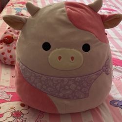 Reshma Pink Cow Squishmallow 