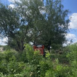 Se Asen Trabajos De Limpieza De Terrenos 