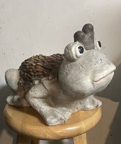 Garden Frog 