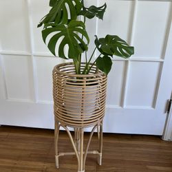 Rattan Plant Stand 