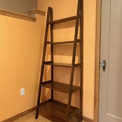 Ladder Bookshelf – $40 OBO