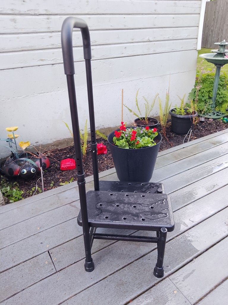 Step Stool with Handle