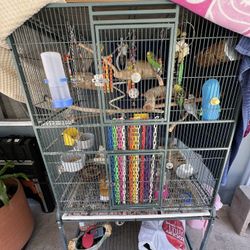 Bird Cage And 7 Birds