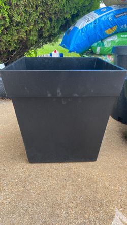 Two large planter each