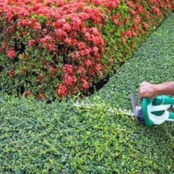 Mower