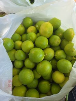 Limon mexicano
